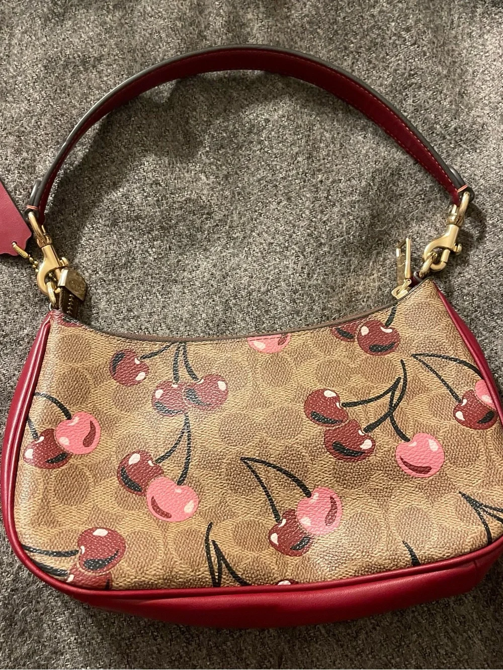 Coach Cherry-Print Mini Shoulder Bag in Brown and Red